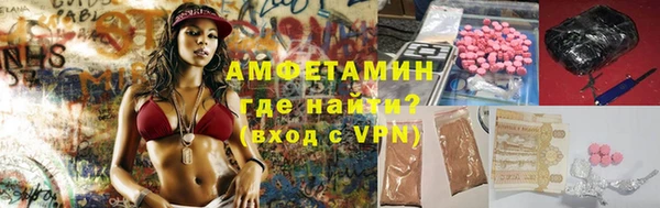 прущие грибы Козельск