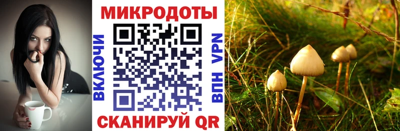 Галлюциногенные грибы мицелий Выборг
